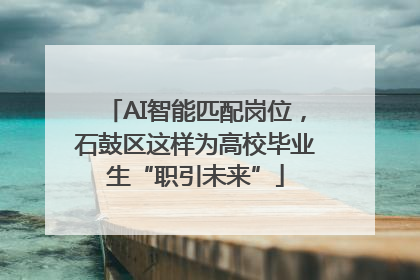 AI智能匹配岗位，石鼓区这样为高校毕业生“职引未来”