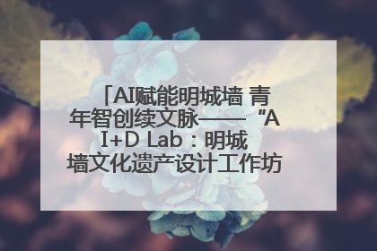 AI赋能明城墙 青年智创续文脉——“AI+D Lab：明城墙文化遗产设计工作坊”在南京开营